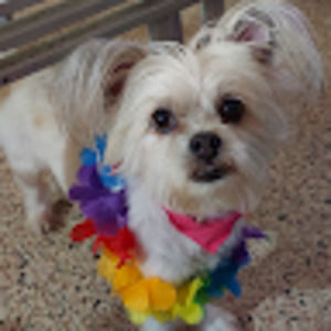 Meet your Posher, Karina a